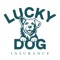 With the Lucky Dog Insurance mobile app you can manage your account, contact your agent or just check on your insurance policy anywhere, anytime from the comfort of your mobile device