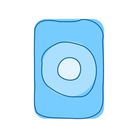 Ding Dong Doorbell