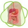 CloudLabs Digestive system icon