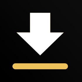 螢幕擷取畫面 (3) Video Save : Video Saver