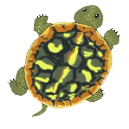 SignCueQuest app icon
