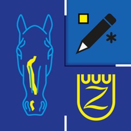 Zangersheide Horse ID equicty