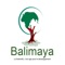 CDS Balimaya, located in Montreal, Quebec, is dedicated to fostering cultural diversity and dialogue