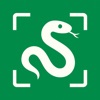 SnakeSnap: Snake ID AI