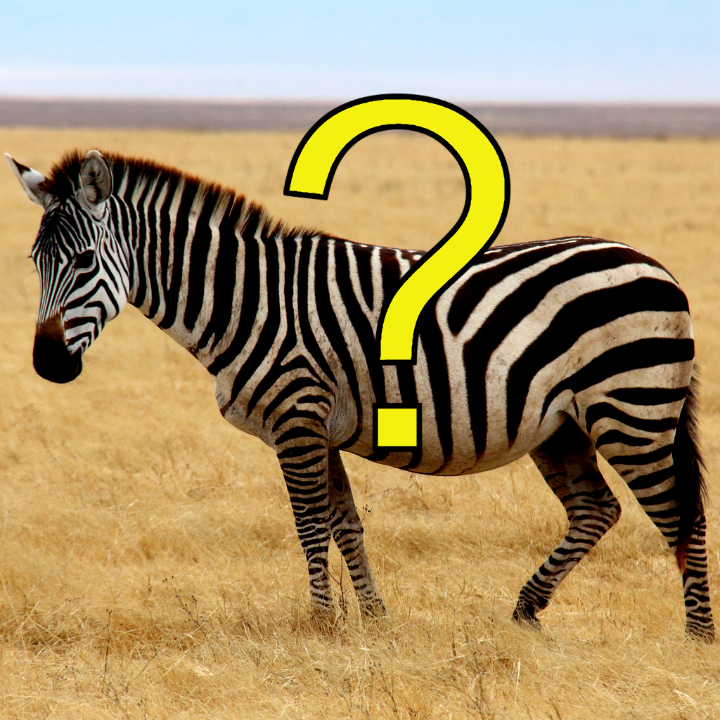 Get Pic Quiz for iOS, iPhone, iPad Aso Report