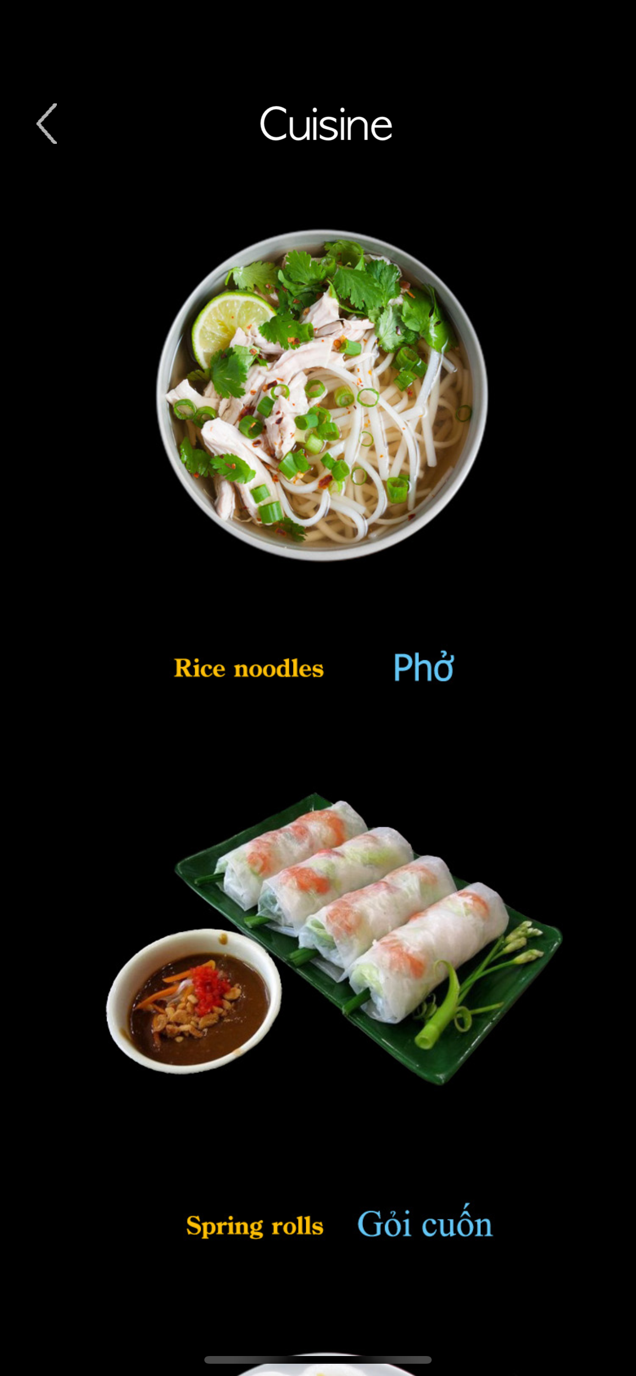 Vietnamese Alphabet & Words screenshot 11