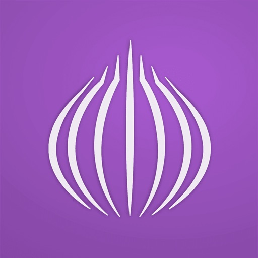TOR Браузер - тор браузер Web