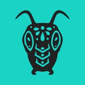 Locust Cider