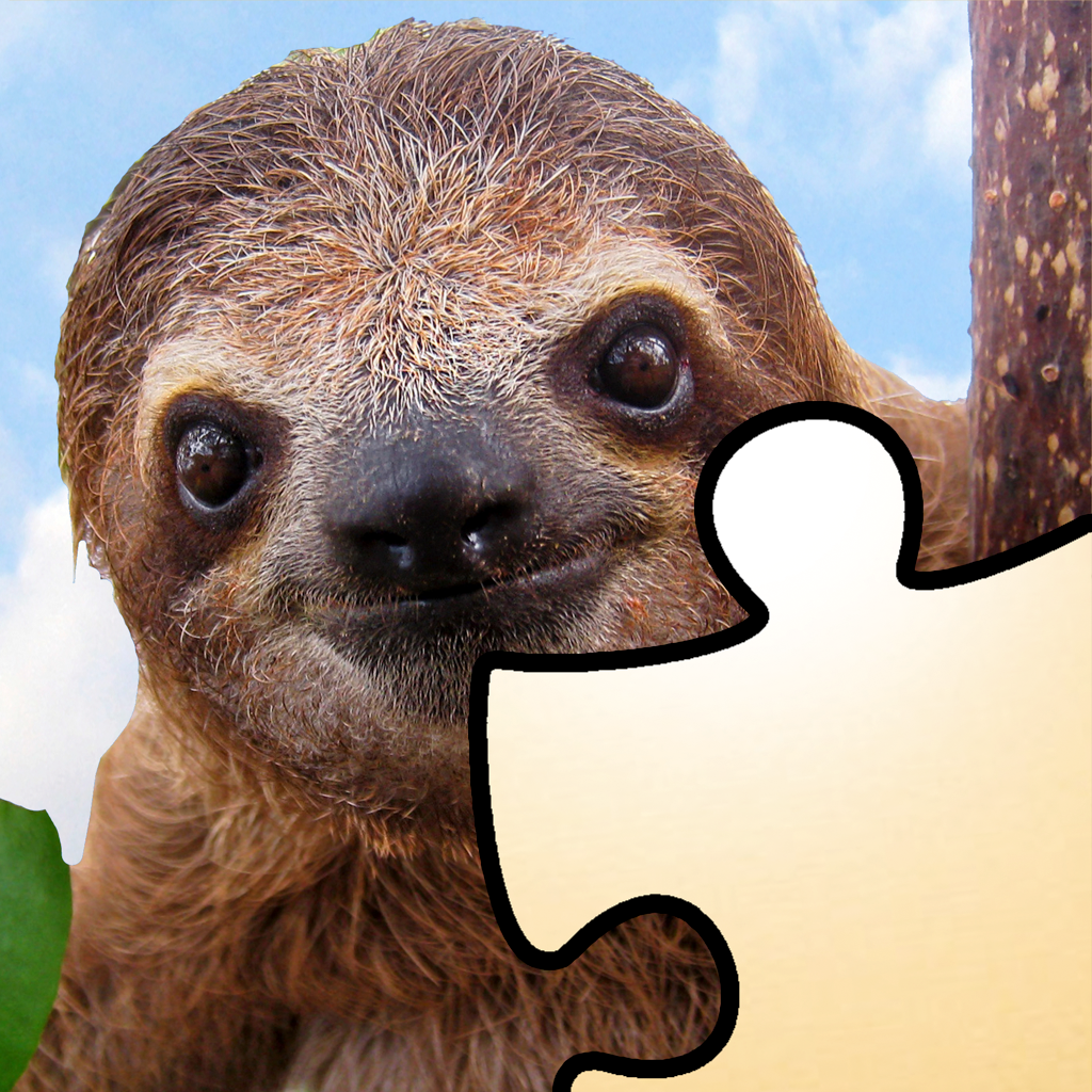 Get Jigsaws+ for iOS, iPhone, iPad Aso Report