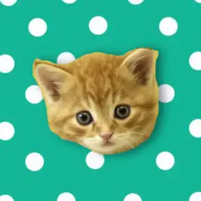 Musical Kittens icon