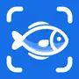 Fish Identifier - Fishby