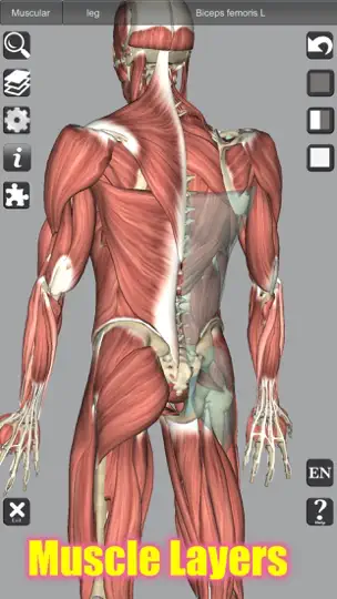 Capture d'écran de 3D Anatomy Learning sur iPhone 6