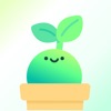 Plant Easy: Plant Identifier icon