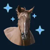 Foulee.ai - App Icon