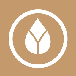 Sleep Beauty - Sleep & Healing