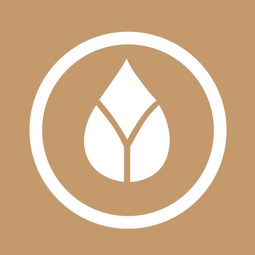 Sleep Beauty - Sleep & Healing