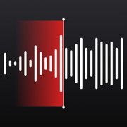 Voice Recorder: Speech to Text