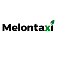Melon Taxi: Airport Transfers
