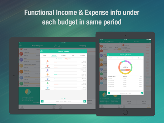 Budget Projects iPad screenshot 4 - Finance app