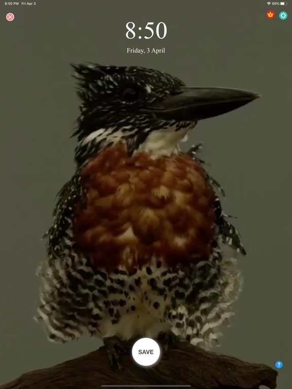 Live Wallpaper Supreme iPad screenshot 4 - Entertainment app