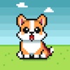 Pawdometer: Corgi Step Pet icon