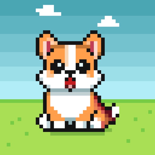 Pawdometer : corgi marcheur