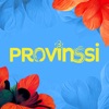 Provinssi icon