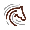 Horse Bids icon