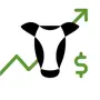 Livestock Insurance Analyzer