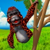 Gorilla Hill Climber Tag Race icon