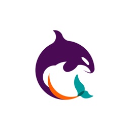 Meraki service reports