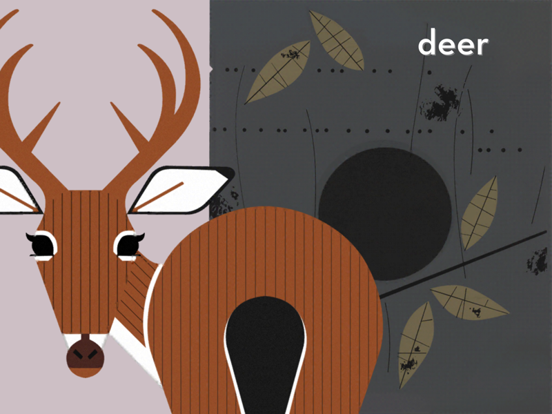 Peekaboo Forest official gameplay screenshot 2