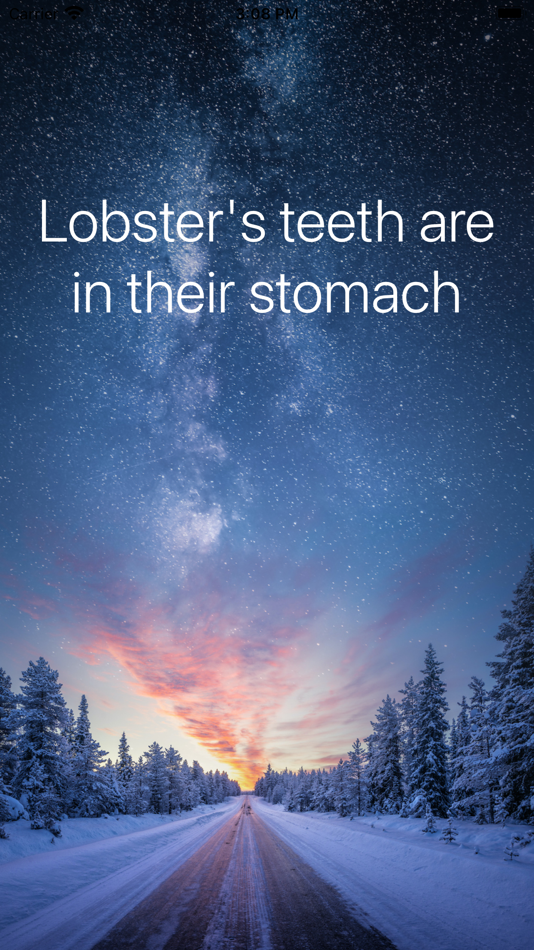 #1. Fact of the Day (iOS) Podle: Zaffles