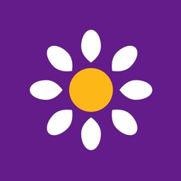 Bellis - Tilbud på oplevelser