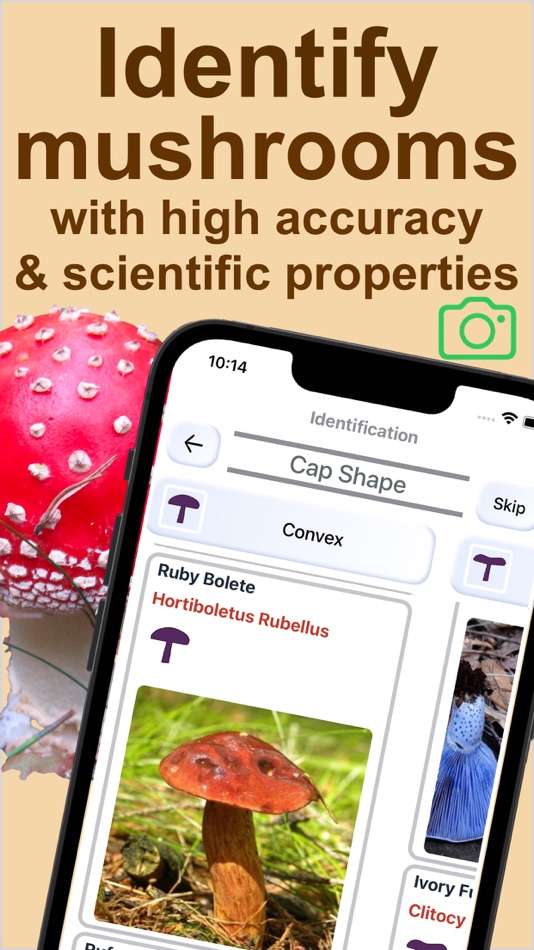 #1. Forest Mushroom Identification (iOS) 由: Kesifler Dunyasi Ltd.