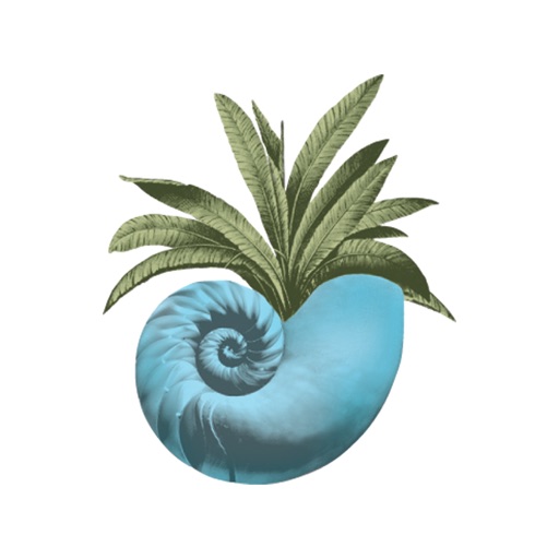 Seabrook Island Club