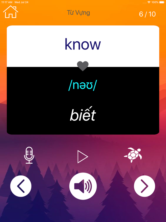 Học Tiếng Anh Giao Tiếp Pro iPad screenshot 8 - Education app