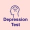 The Beck Depression Inventory (BDI) Depression Test is a validated psychological assessment tool used worldwide by mental health professionals