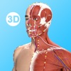 Acupuncture Master - iPadアプリ