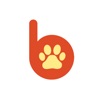 buddi icon