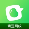青豆网校 icon