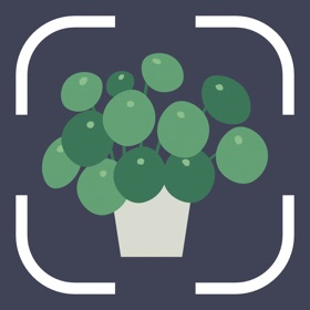 Flower Identifier AI Scanner