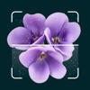 AI Plant Identification App icon
