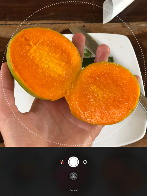 MealCam iPad screenshot 2 - Health & Fitness app
