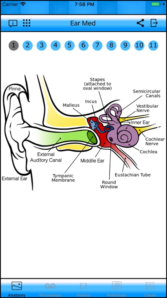 #1. Ear Med (iOS) By: ManalSoft