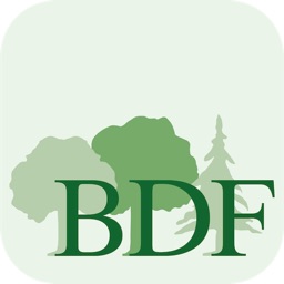 BDF