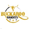 Buckaroo Bandits icon