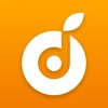 洞洞谱 icon