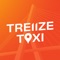 Description Treiize Taxi