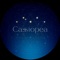 Мобильное приложение для участников Cassiopea